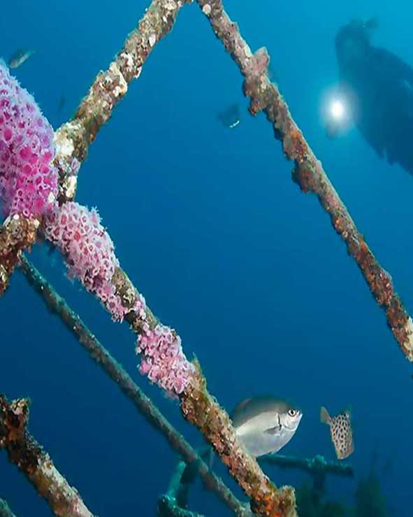 Welcome to Bookme online bookings for activities and attractions in New Zealand's Far North - the Bay of Islands, Piha, Whangarei. Find fantastic deals and discounts on activities and adventures including, kayaking, scenic flights, mountain biking, Buller river rafting and Abel Tasman skydiving.